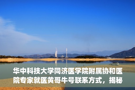 华中科技大学同济医学院附属协和医院专家就医黄哥牛号联系方式，揭秘华中科技大学同济医学院附属协和医院专家黄哥牛号联系信息及就医攻略