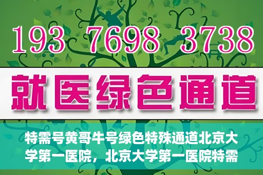 特需号黄哥牛号绿色特殊通道北京大学第一医院，北京大学第一医院特需号黄哥牛号，绿色特殊通道揭秘