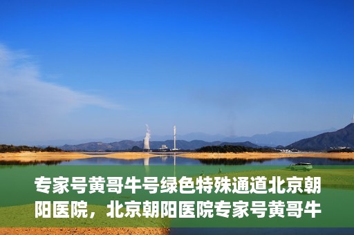 专家号黄哥牛号绿色特殊通道北京朝阳医院，北京朝阳医院专家号黄哥牛号开启绿色特殊通道，助力患者高效就医