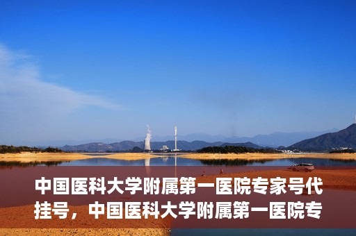 中国医科大学附属第一医院专家号代挂号，中国医科大学附属第一医院专家号预约挂号攻略