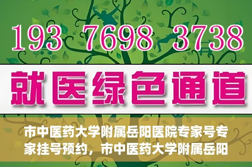 市中医药大学附属岳阳医院专家号专家挂号预约，市中医药大学附属岳阳医院专家挂号预约系统，专业医疗资源的便捷通道