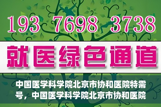 中国医学科学院北京市协和医院特需号，中国医学科学院北京市协和医院特需号详解，权威医疗的尊享服务体验