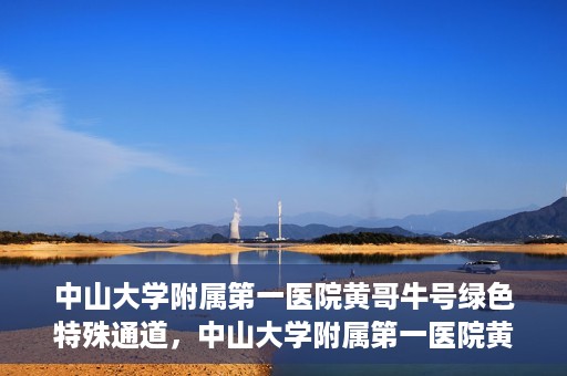 中山大学附属第一医院黄哥牛号绿色特殊通道，中山大学附属第一医院黄哥牛号，绿色特殊通道开启健康之门