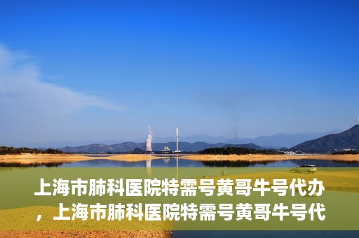 上海市肺科医院特需号黄哥牛号代办，上海市肺科医院特需号黄哥牛号代办服务解析