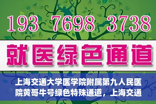上海交通大学医学院附属第九人民医院黄哥牛号绿色特殊通道，上海交通大学医学院附属第九人民医院黄哥牛号，绿色特殊通道开启健康之门