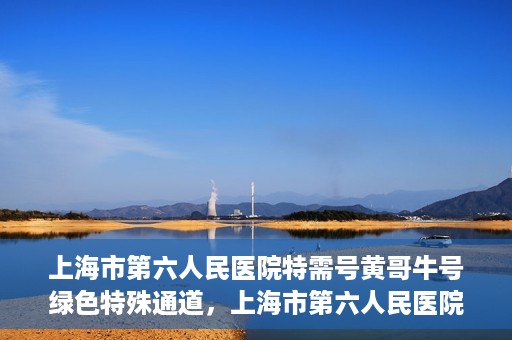 上海市第六人民医院特需号黄哥牛号绿色特殊通道，上海市第六人民医院特需号黄哥牛号，绿色就医通道新选择