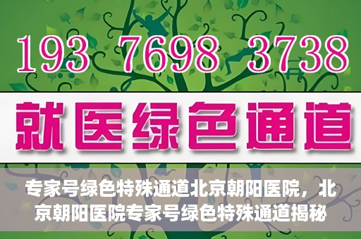 专家号绿色特殊通道北京朝阳医院，北京朝阳医院专家号绿色特殊通道揭秘，医疗服务的创新与优化体验