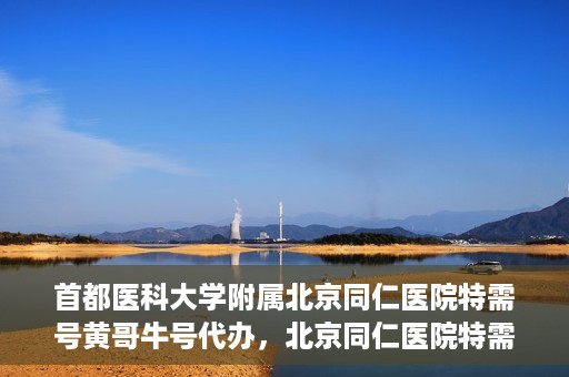 首都医科大学附属北京同仁医院特需号黄哥牛号代办，北京同仁医院特需号黄哥牛号代办，深度解析医疗服务的特殊渠道