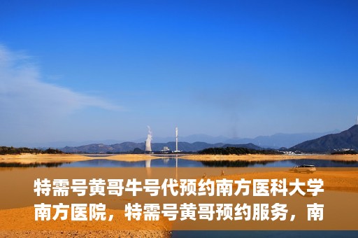 特需号黄哥牛号代预约南方医科大学南方医院，特需号黄哥预约服务，南方医科大学南方医院便捷就医新通道