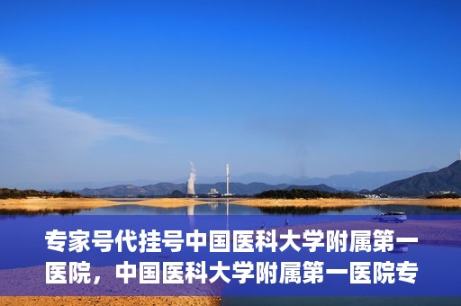 专家号代挂号中国医科大学附属第一医院，中国医科大学附属第一医院专家号代挂号服务解析