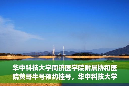 华中科技大学同济医学院附属协和医院黄哥牛号预约挂号，华中科技大学同济医学院附属协和医院黄哥牛号预约挂号攻略解析