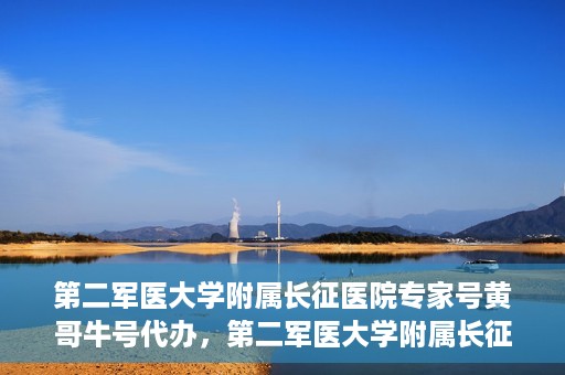 第二军医大学附属长征医院专家号黄哥牛号代办，第二军医大学附属长征医院专家号‘黄哥牛号’预约代办服务解析
