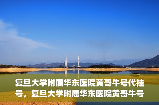 复旦大学附属华东医院黄哥牛号代挂号，复旦大学附属华东医院黄哥牛号代挂号解析与体验分享
