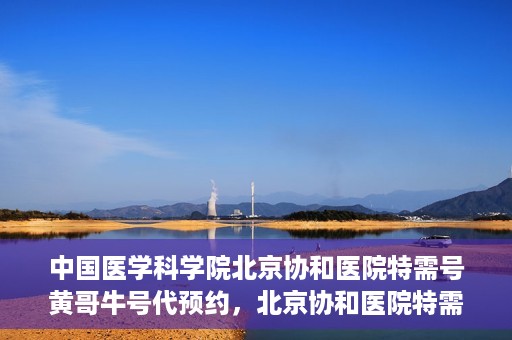 中国医学科学院北京协和医院特需号黄哥牛号代预约，北京协和医院特需号黄哥牛号预约服务解析