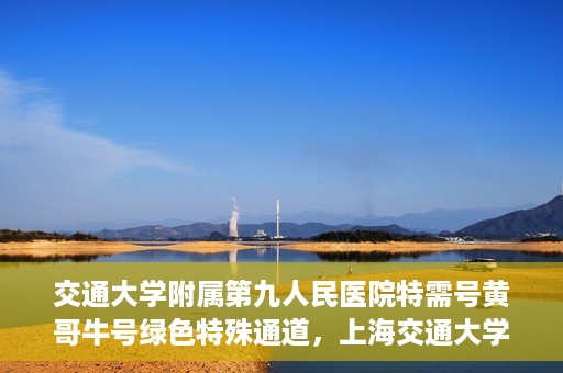 交通大学附属第九人民医院特需号黄哥牛号绿色特殊通道，上海交通大学附属第九医院特需号专家黄哥牛号绿色就医通道解析