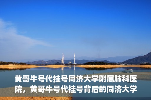 黄哥牛号代挂号同济大学附属肺科医院，黄哥牛号代挂号背后的同济大学附属肺科医院就医故事
