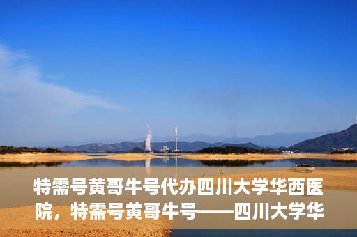 特需号黄哥牛号代办四川大学华西医院，特需号黄哥牛号——四川大学华西医院代办服务解析