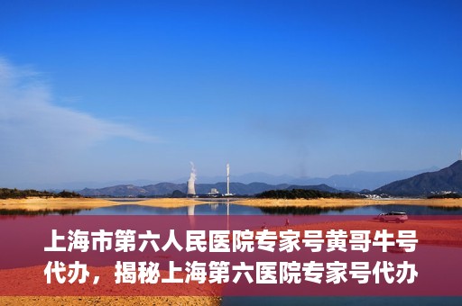 上海市第六人民医院专家号黄哥牛号代办，揭秘上海第六医院专家号代办背后的故事，黄哥牛号代办真相揭秘