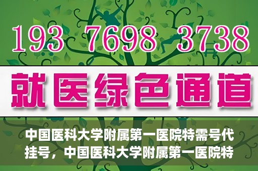 中国医科大学附属第一医院特需号代挂号，中国医科大学附属第一医院特需号源代挂号服务解析