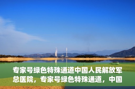 专家号绿色特殊通道中国人民解放军总医院，专家号绿色特殊通道，中国人民解放军总医院医疗服务的深度解读