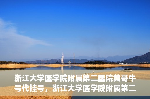 浙江大学医学院附属第二医院黄哥牛号代挂号，浙江大学医学院附属第二医院黄哥牛号挂号服务解析