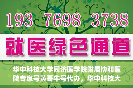 华中科技大学同济医学院附属协和医院专家号黄哥牛号代办，华中科技大学同济医学院附属协和医院专家号代办揭秘，黄哥牛号助您轻松预约专家号