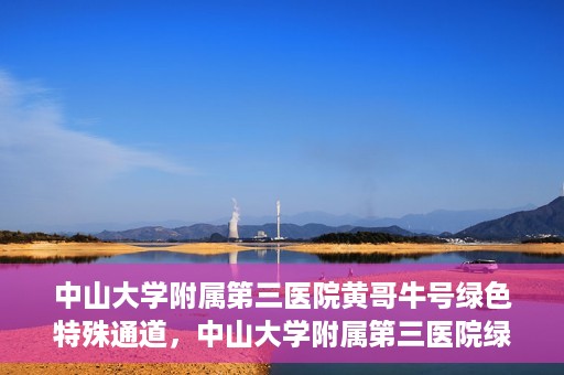 中山大学附属第三医院黄哥牛号绿色特殊通道，中山大学附属第三医院绿色特殊通道，黄哥牛号引领医疗创新之路