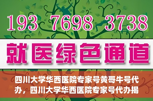 四川大学华西医院专家号黄哥牛号代办，四川大学华西医院专家号代办揭秘，黄哥牛号背后的故事