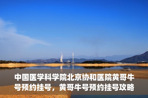 中国医学科学院北京协和医院黄哥牛号预约挂号，黄哥牛号预约挂号攻略，中国医学科学院北京协和医院就医指南