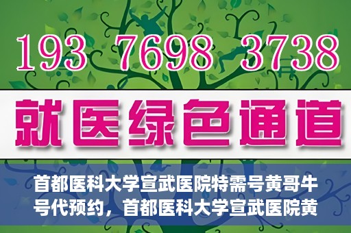 首都医科大学宣武医院特需号黄哥牛号代预约，首都医科大学宣武医院黄哥特需号预约攻略，专业代预约服务解析