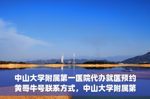 中山大学附属第一医院代办就医预约黄哥牛号联系方式，中山大学附属第一医院预约就医预约联系方式揭秘，黄哥牛号助您轻松挂号就医