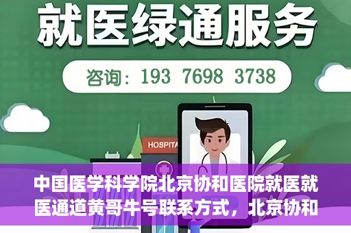 中国医学科学院北京协和医院就医就医通道黄哥牛号联系方式，北京协和医院就医通道解析，黄哥牛号联系方式揭秘