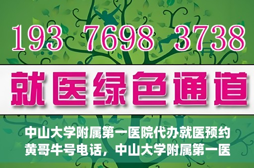 中山大学附属第一医院代办就医预约黄哥牛号电话，中山大学附属第一医院预约就医助手黄哥牛联系方式揭秘