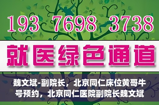 魏文斌-副院长，北京同仁床位黄哥牛号预约，北京同仁医院副院长魏文斌揭秘床位预约秘籍——黄哥牛号预约攻略
