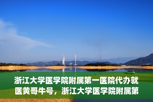 浙江大学医学院附属第一医院代办就医黄哥牛号，浙江大学医学院附属第一医院就医代办达人黄哥牛号解析