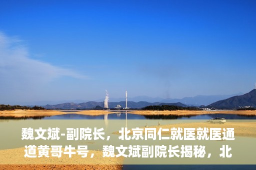 魏文斌-副院长，北京同仁就医就医通道黄哥牛号，魏文斌副院长揭秘，北京同仁就医通道黄哥牛号背后的故事