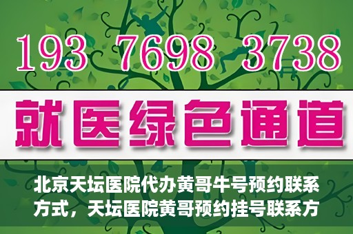 北京天坛医院代办黄哥牛号预约联系方式，天坛医院黄哥预约挂号联系方式揭秘，便捷就医新途径探索