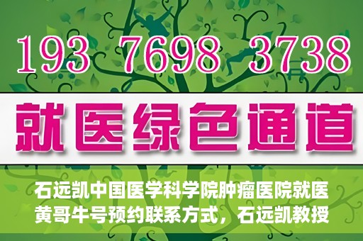 石远凯中国医学科学院肿瘤医院就医黄哥牛号预约联系方式，石远凯教授，中国医学科学院肿瘤医院就医攻略及黄哥牛号预约联系方式揭秘
