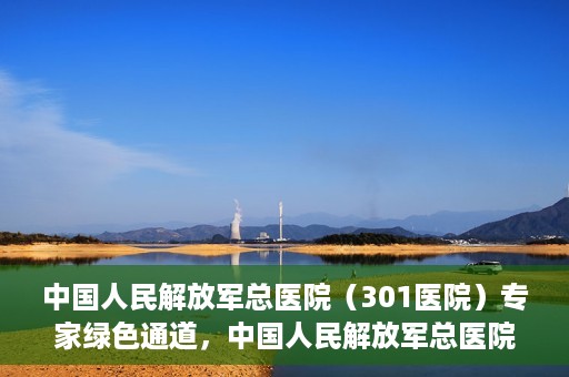 中国人民解放军总医院（301医院）专家绿色通道，中国人民解放军总医院专家绿色通道，高效就医新通道开启