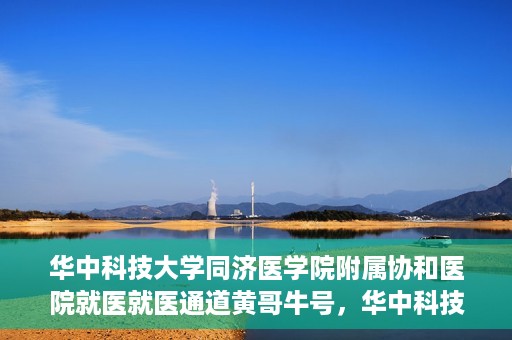 华中科技大学同济医学院附属协和医院就医就医通道黄哥牛号，华中科技大学同济医学院附属协和医院就医通道详解，黄哥牛号引领就医新体验