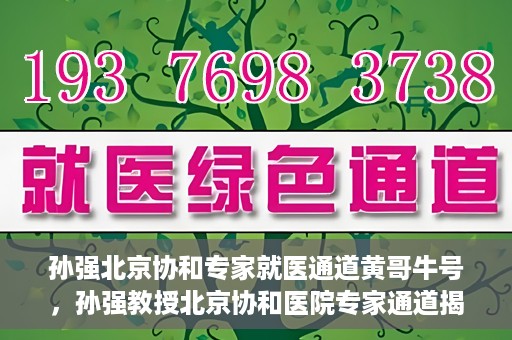 孙强北京协和专家就医通道黄哥牛号，孙强教授北京协和医院专家通道揭秘，黄哥牛号背后的就医故事