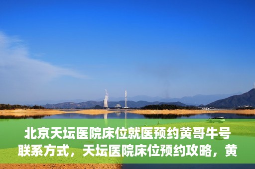 北京天坛医院床位就医预约黄哥牛号联系方式，天坛医院床位预约攻略，黄哥牛号联系方式揭秘