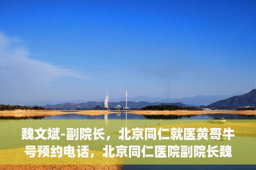 魏文斌-副院长，北京同仁就医黄哥牛号预约电话，北京同仁医院副院长魏文斌，就医黄哥牛号预约电话解析
