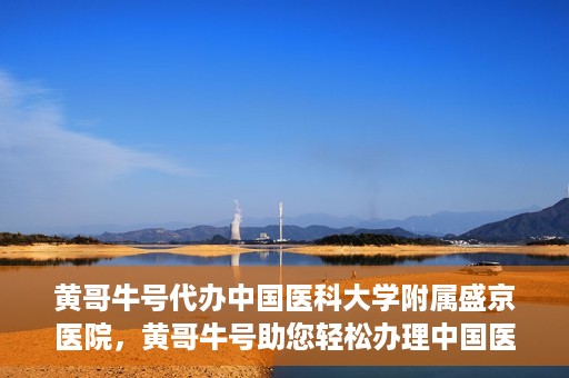 黄哥牛号代办中国医科大学附属盛京医院，黄哥牛号助您轻松办理中国医科大学附属盛京医院手续！