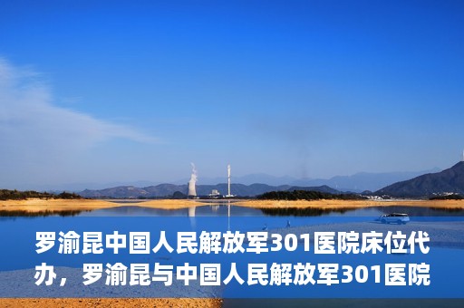 罗渝昆中国人民解放军301医院床位代办，罗渝昆与中国人民解放军301医院床位代办的幕后故事