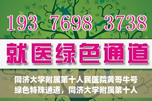同济大学附属第十人民医院黄哥牛号绿色特殊通道，同济大学附属第十人民医院黄哥牛号，绿色特殊通道开启健康之门