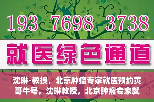 沈琳-教授，北京肿瘤专家就医预约黄哥牛号，沈琳教授，北京肿瘤专家就医预约热线背后的权威力量