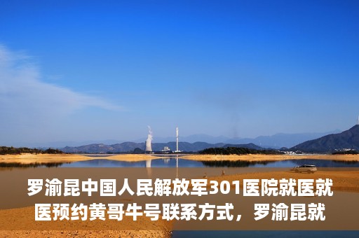 罗渝昆中国人民解放军301医院就医就医预约黄哥牛号联系方式，罗渝昆就医之路，中国人民解放军301医院预约挂号攻略及联系方式揭秘
