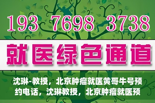 沈琳-教授，北京肿瘤就医黄哥牛号预约电话，沈琳教授，北京肿瘤就医预约热线及黄哥牛号解析