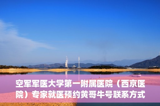 空军军医大学第一附属医院（西京医院）专家就医预约黄哥牛号联系方式，空军军医大学第一附属医院黄哥牛号专家预约联系方式揭秘